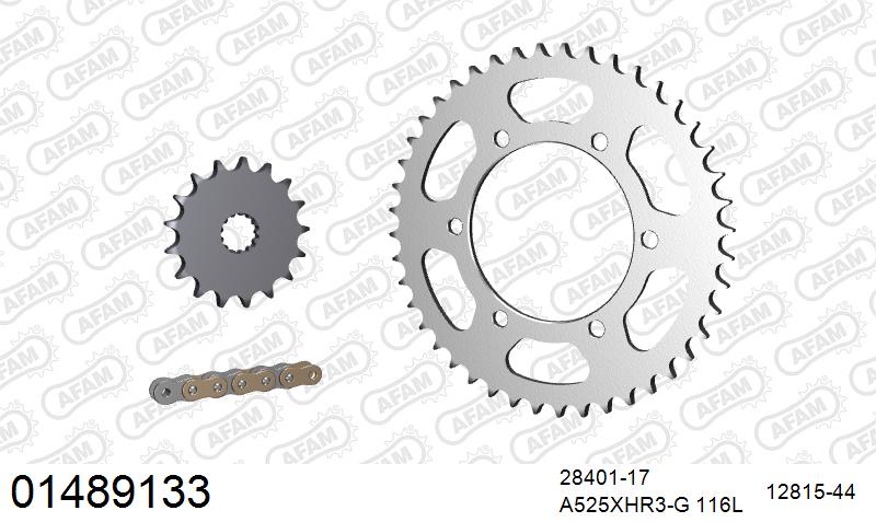 AFAM 01489133
