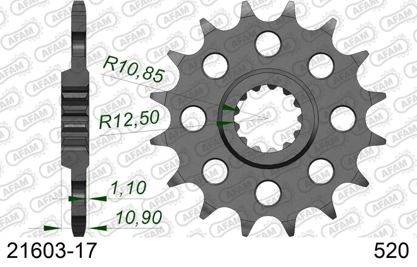 AFAM 21603-17 AFAM 21603-17