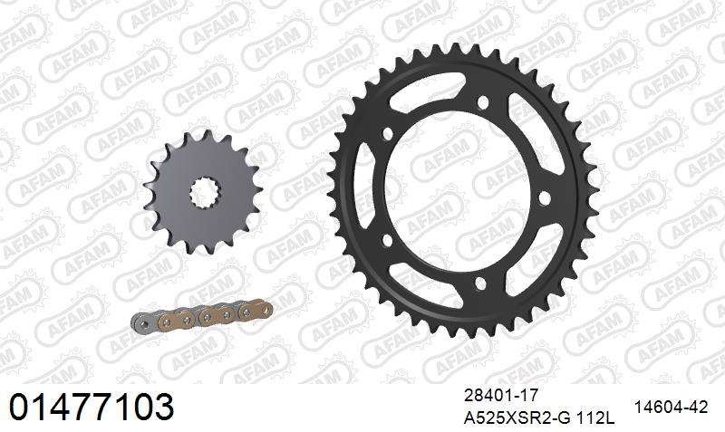 AFAM 01477103