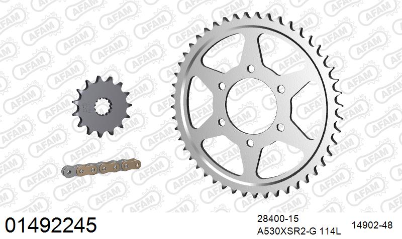 AFAM 01492245