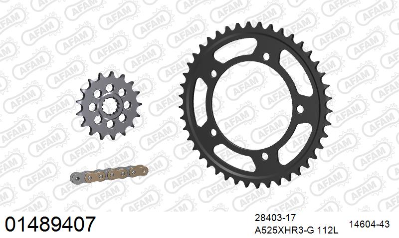 AFAM 01489407