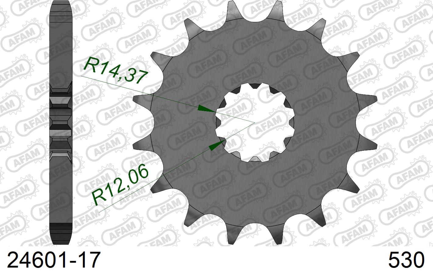 AFAM 24601-17 AFAM 24601-17