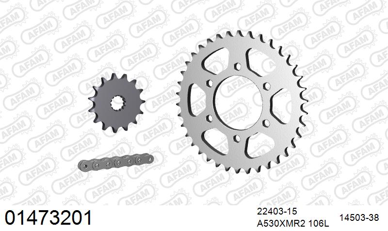 AFAM 01473201