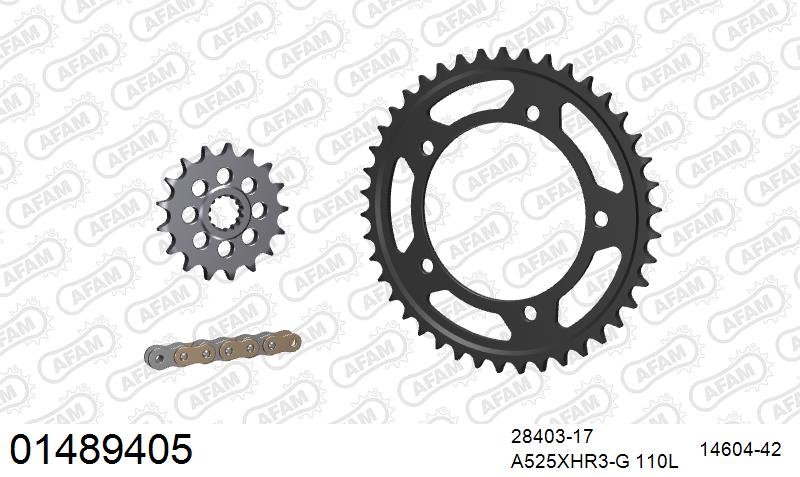 AFAM 01489405