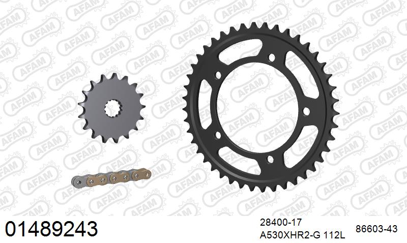AFAM 01489243
