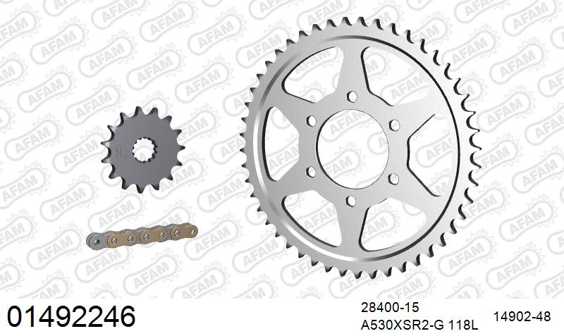 AFAM 01492246