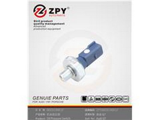 ZPY 06E 919 081F