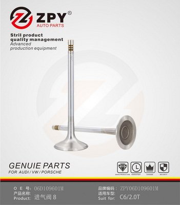 ZPY 06D 109 601M
