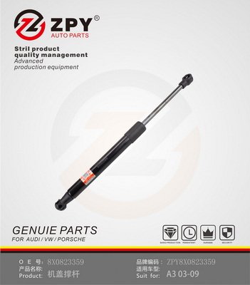 ZPY 8X0 823 359