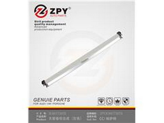 ZPY 3C8 877 307A AK1