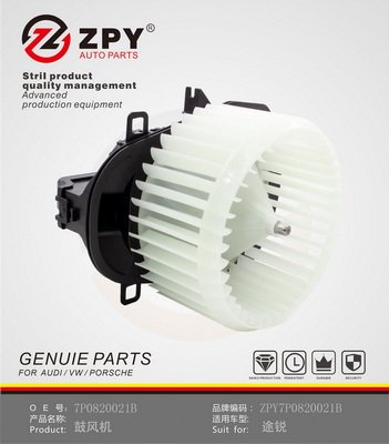 ZPY 7P0 820 021B