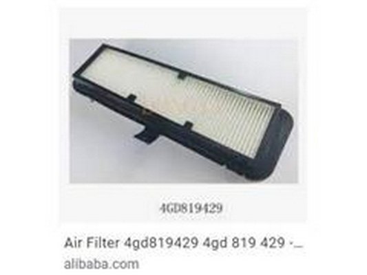 ZPY 4GD819429 ZPY 4GD819429