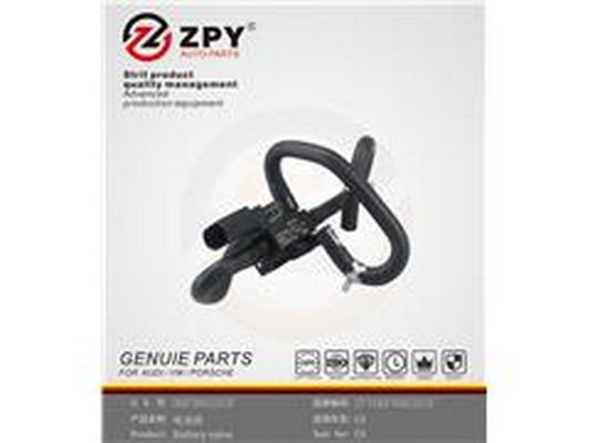 ZPY 06F906283F