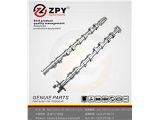 ZPY 06F 109 101B