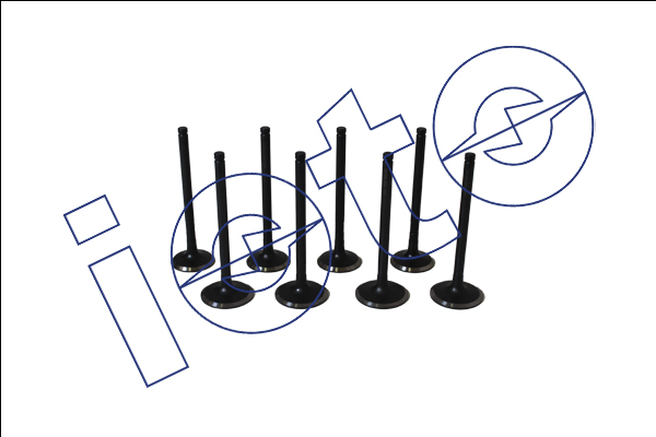 IOTO 50203-12604 IOTO 50203-12604