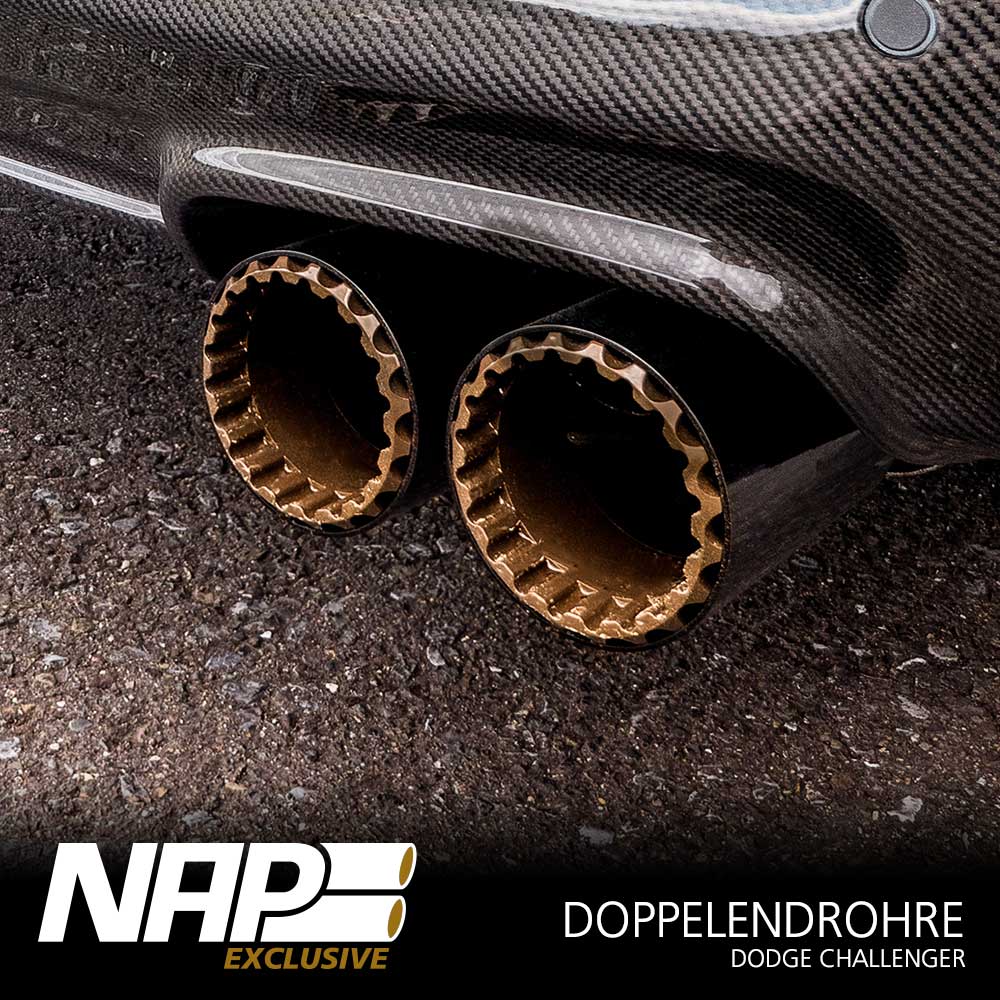 NAP carPARTS END100140ASS0