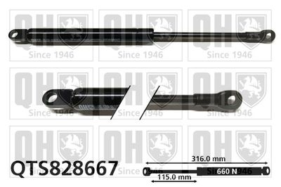 QUINTON HAZELL QTS828667 QUINTON HAZELL QTS828667