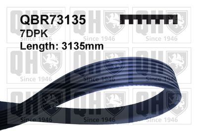 QUINTON HAZELL QBR73135
