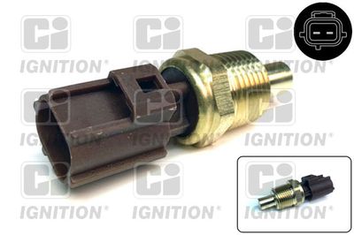 QUINTON HAZELL XTTS204 QUINTON HAZELL XTTS204