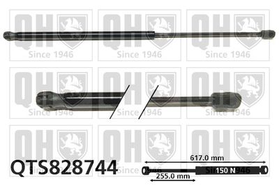QUINTON HAZELL QTS828744