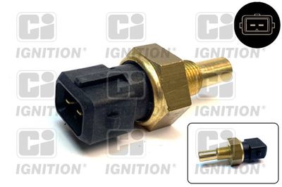 QUINTON HAZELL XEMS99