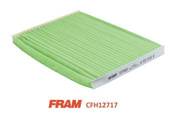 FRAM CFH12717