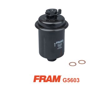 FRAM G5603