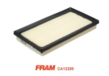 FRAM CA12289