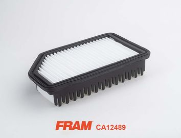 FRAM CA12489