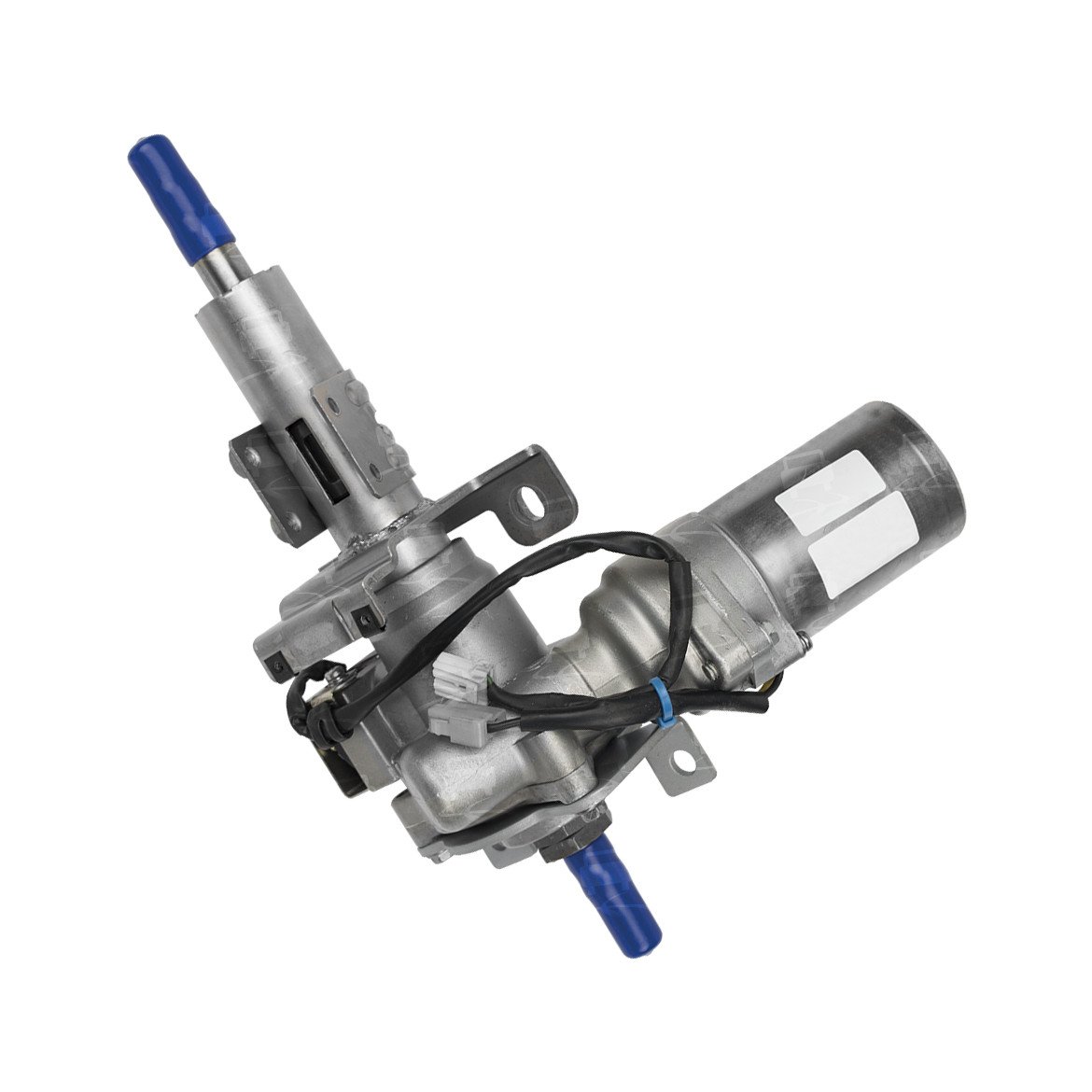 BLOCKSTEM ERF6 BLOCKSTEM ERF6