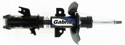 Gabriel-MX USA79279L