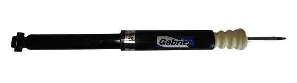 Gabriel-MX USA69248