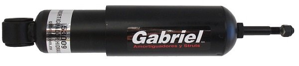 Gabriel-MX 53009