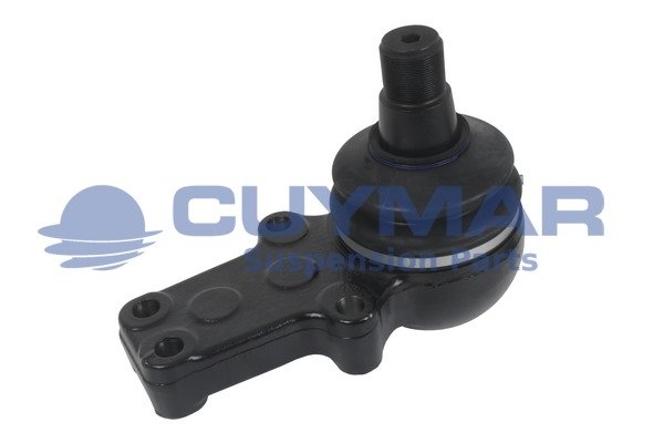 CUYMAR 5905994