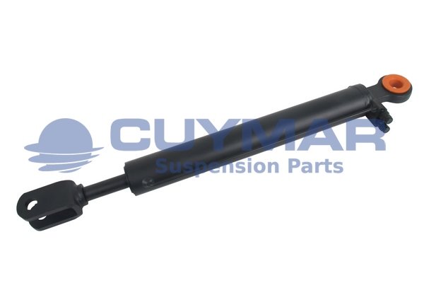 CUYMAR 4208605
