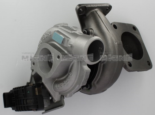 TURBOS MIGNE 50174E