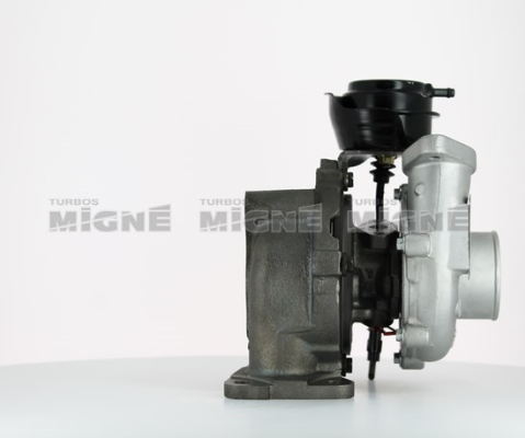 TURBOS MIGNE 50266E