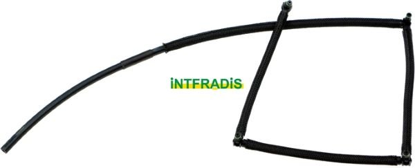 INTFRADIS 10225