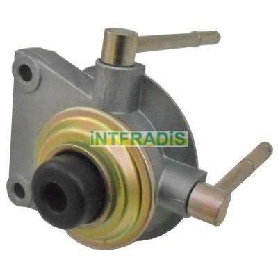 INTFRADIS 10104