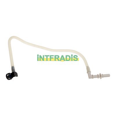 INTFRADIS 10244