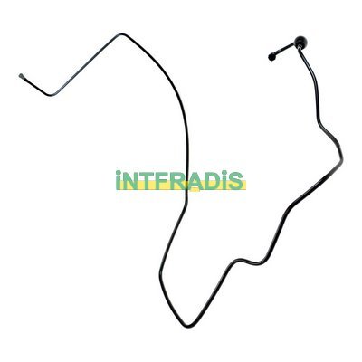 INTFRADIS 102101