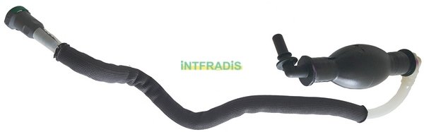 INTFRADIS 102105