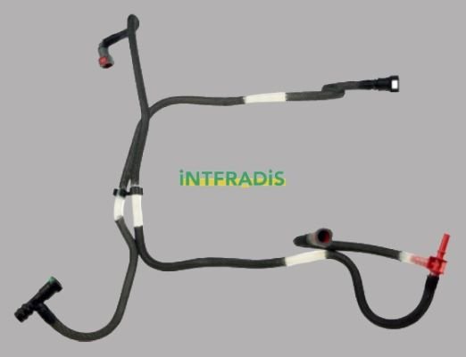 INTFRADIS 10242