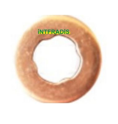 INTFRADIS 10165