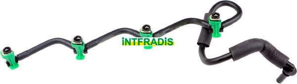 INTFRADIS 10228