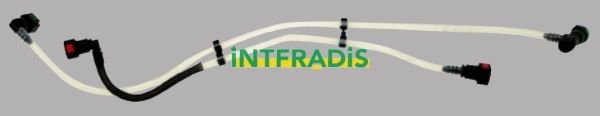 INTFRADIS 10234