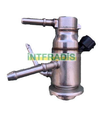 INTFRADIS 10703