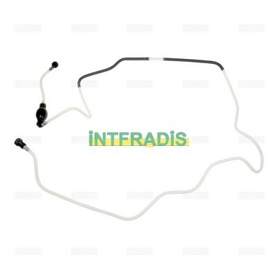 INTFRADIS 102100