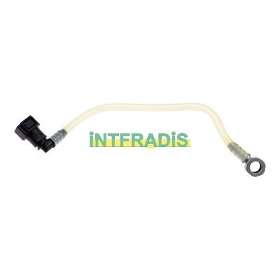 INTFRADIS 10245