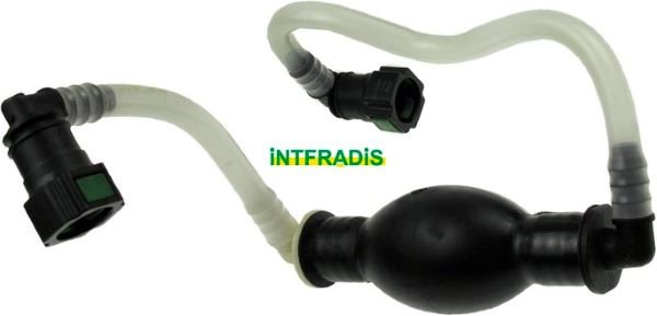 INTFRADIS 10219